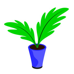 decorative plants growth in blue vas 