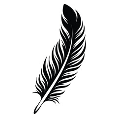 Obraz premium Black fluffy feather. Hand drawing vintage art realistic quill feathers for pen detailed isolated vector elegant silhouette sketch bird plume set