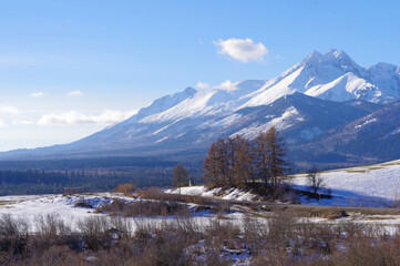 Tatry zimą od strony Słowackiej. Piękny krajobraz zimowy i widok na najwyższe szczyty Tatr Wysokich.