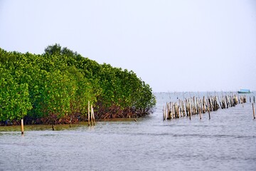 Coastal areas that have mangrove forest tourism potential.  However, most of the mangrove forests have been converted into fish and seaweed ponds
