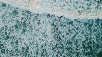 Picturesque ocean water foaming rolling on beach. Aerial surfboarder riding wave