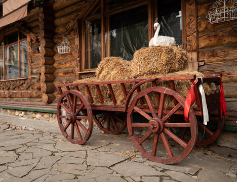 old cart loaded with hay on the background of an old house