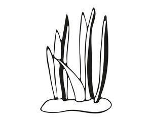 Underwater sea plant. Vector illustration. 