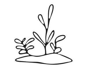 Underwater sea plant. Vector illustration. 