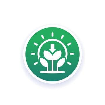 photosynthesis icon with plant and sun, vector