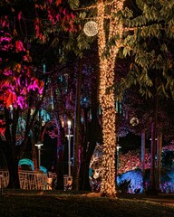 lights in the garden's trees. Fairy party with neon lights.