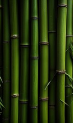 Background green bamboo wood, natural texture.