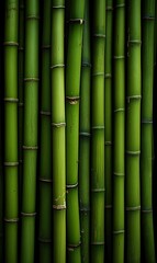 Fototapeta premium Background green bamboo wood, natural texture.