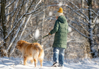 Girl Strolls With Golden Retriever In Winter Forest, View From Back, Walking With Dog Through Snow-Covered Woods