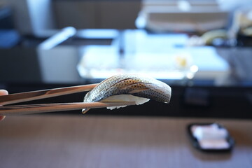 Japanese Food, Kohada Nigiri Sushi - 日本料理 コハダ 握り 寿司	