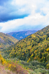 Obraz premium Autumn mountains with yellow-green trees