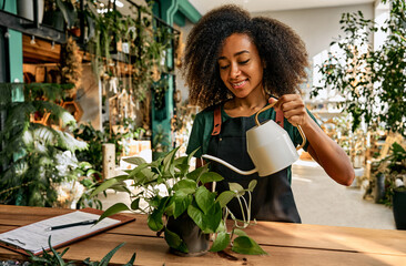 Love for plants. African american female gardener in green apron standing at flower store and using watering can. Positive young woman with curly hair taking care of greenery in pots. - obrazy, fototapety, plakaty