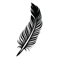 Obraz premium Black fluffy feather. Hand drawing vintage art realistic quill feathers for pen detailed isolated vector elegant silhouette sketch bird plume set