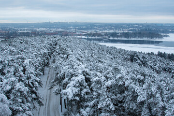 Aerial view of the city of Tampere and lake Pyhajarvi from Pyynikki Observation Tower in Tampere, Finland