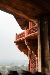 Intricate details from the Agra Red Fort ruins