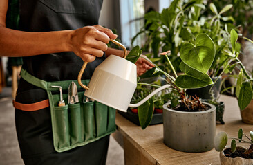 Cropped image of woman with garden tools watering potted houseplant on the table at plants shop,...
