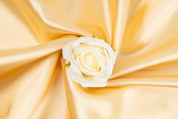 White rose on gold color silk.