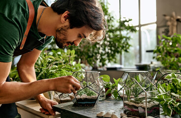 A handsome man makes a composition in a glass florarium, holds stones with tweezers. Work in a...