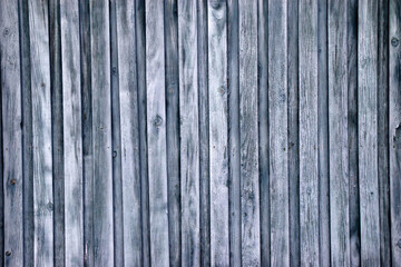 The background is made of green wooden boards. Wooden fence. Old boards.