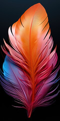 A close up of a colorful feather on a black background.