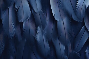 Obraz premium Beautiful feathers background in dark blue and black colors. Closeup image of colorful fluffy feather. Natural pattern. Minimal abstract composition with copy space