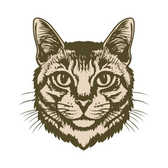 Cat head vector illustration
