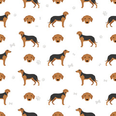 Obraz premium Serbian Hound seamless pattern. All coat colors set