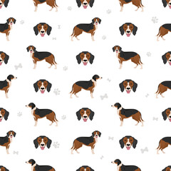 Serbian Tricolor Hound seamless pattern. All coat colors set.  All dog breeds characteristics infographic - obrazy, fototapety, plakaty