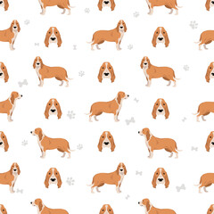 Spanish hound seamless pattern. All coat colors set