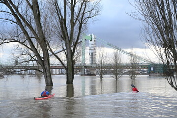 Hochwasser in Köln 2024