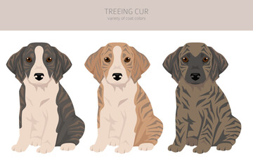 Treeing Cur puppies clipart. All coat colors set.  All dog breeds characteristics infographic