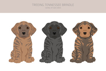 Treeing Tennessee Brindle puppies  clipart. Different poses, coat colors set