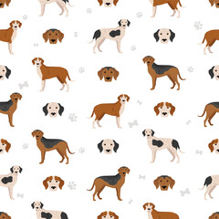 Obraz premium Trigg Hound seamless pattern. All coat colors set. All dog breeds characteristics infographic