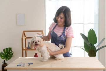 Female professional groomer trimming haircut and combing dog fur at pet spa grooming salon.