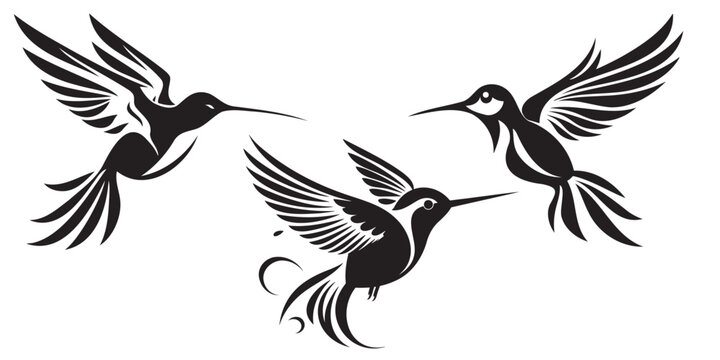 Vector silhouette flying birds on white background.