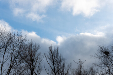 clouds covering up a blue sky and bare silhouetted trees background