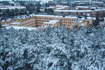 Half jungle and half concrete jungle in Tampere, Finland during a cold winter day