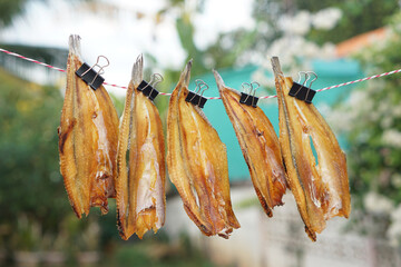 Dried fish hanging to dry on a line  outdoor. Concept, food preservation for next time cooking or...