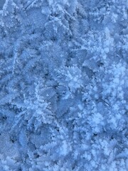 Winter blue natural background. Snow frosty patterns