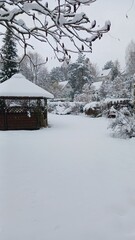 white winter in the garden