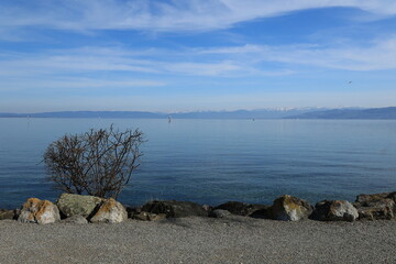 Sonniger Frühlingstag in Romanshorn am Bodensee	