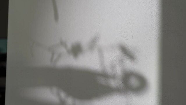 abstract shadow on wall silhouette garland with toys