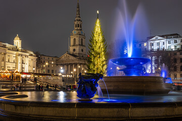 Trafalgar Square Christmas tree, a Norwegian spruce, on Trafalgar square in London