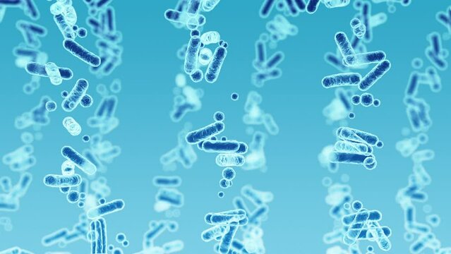 Enterobacteriaceae, gram-negative rod-shaped bacteria, part of intestinal microbiome and causative agents of different infections, 3D rendering. Escherichia coli, Klebsiella, Enterobacter and other