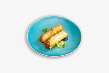 Chinese Cuisine Rollito Primavera on a White Background