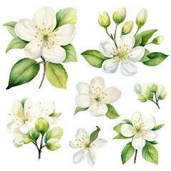 Bunch of White Flowers With Green Leaves, A Peaceful and Natural Composition