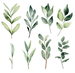 Bunch of Green Leaves on White Background, Fresh and Natural Illustration for Design and Decor
