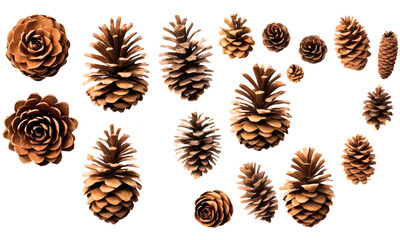 collection of small pinecones for decoration isolated against a transparent background, top view, New year holiday vector. Nature Winter template, PNG.