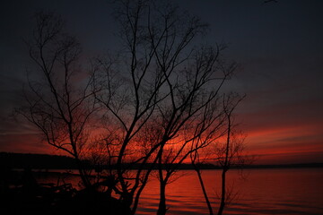 A tree stands in dark contour as the vibrant colors of a sunset reflect upon a tranquil body of water.