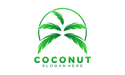 Luxury coconut leaves design vector